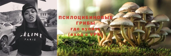 тгк Беломорск