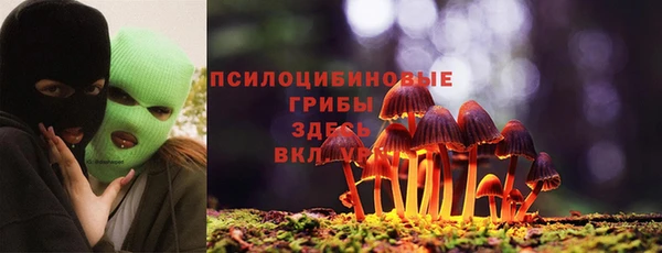 сатива Белоозёрский