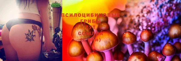 2c-b Белокуриха