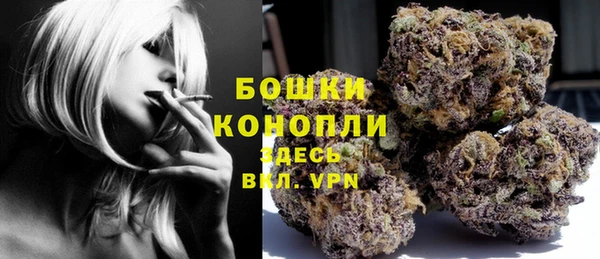 2c-b Белокуриха