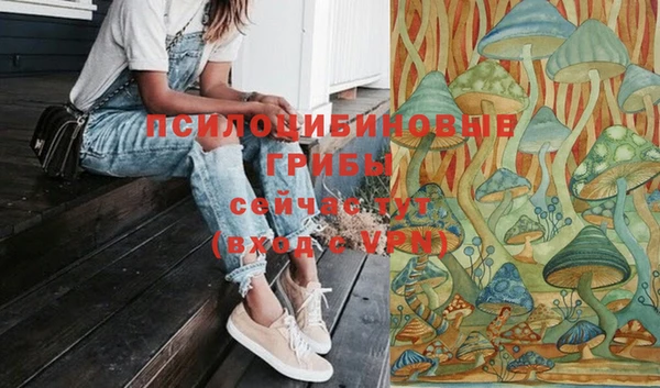 2c-b Белокуриха