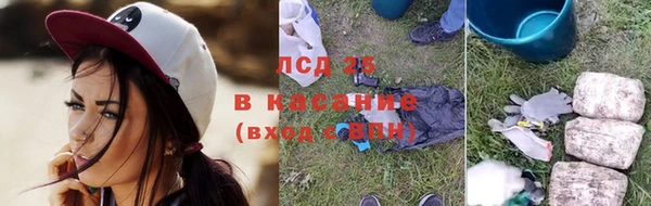 сатива Белоозёрский