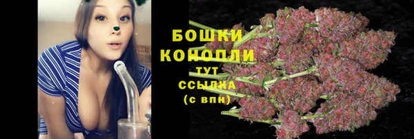 2c-b Белокуриха