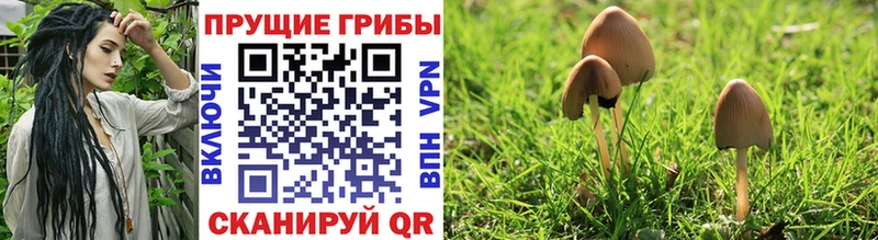 Галлюциногенные грибы GOLDEN TEACHER Котово